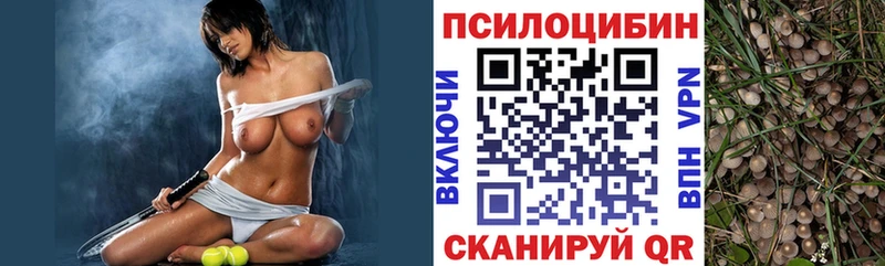 Псилоцибиновые грибы прущие грибы ссылка на мегу сайт Богданович где найти